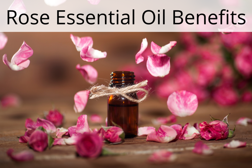 Rose Essential Oil Benefits