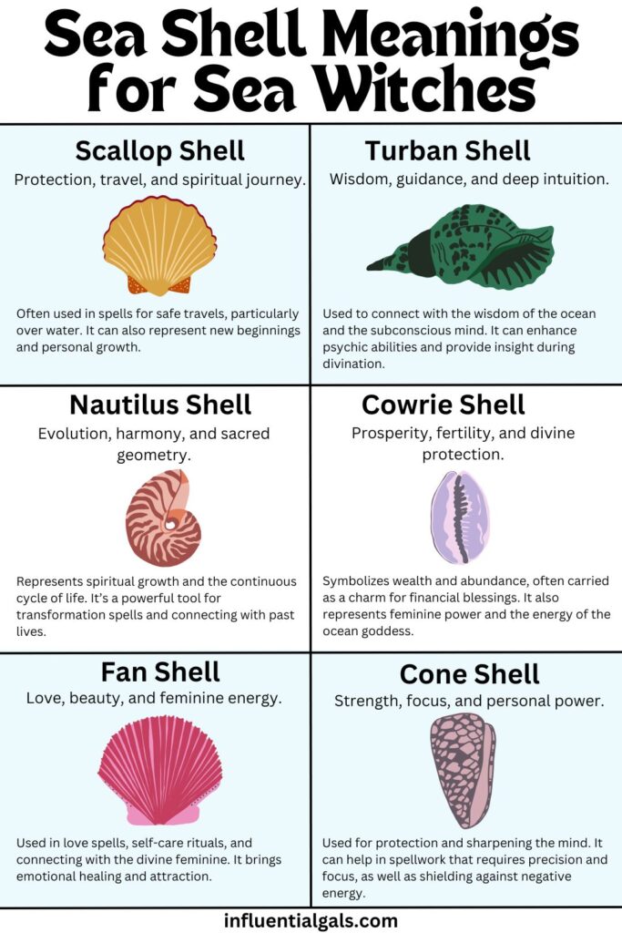 Infographic titled "Sea Shell Meanings for Sea Witches," displaying six types of seashells (Scallop, Turban, Nautilus, Cowrie, Fan, and Cone) with their magical properties, including protection, wisdom, transformation, prosperity, love, and strength. Website: influentialgals.com.