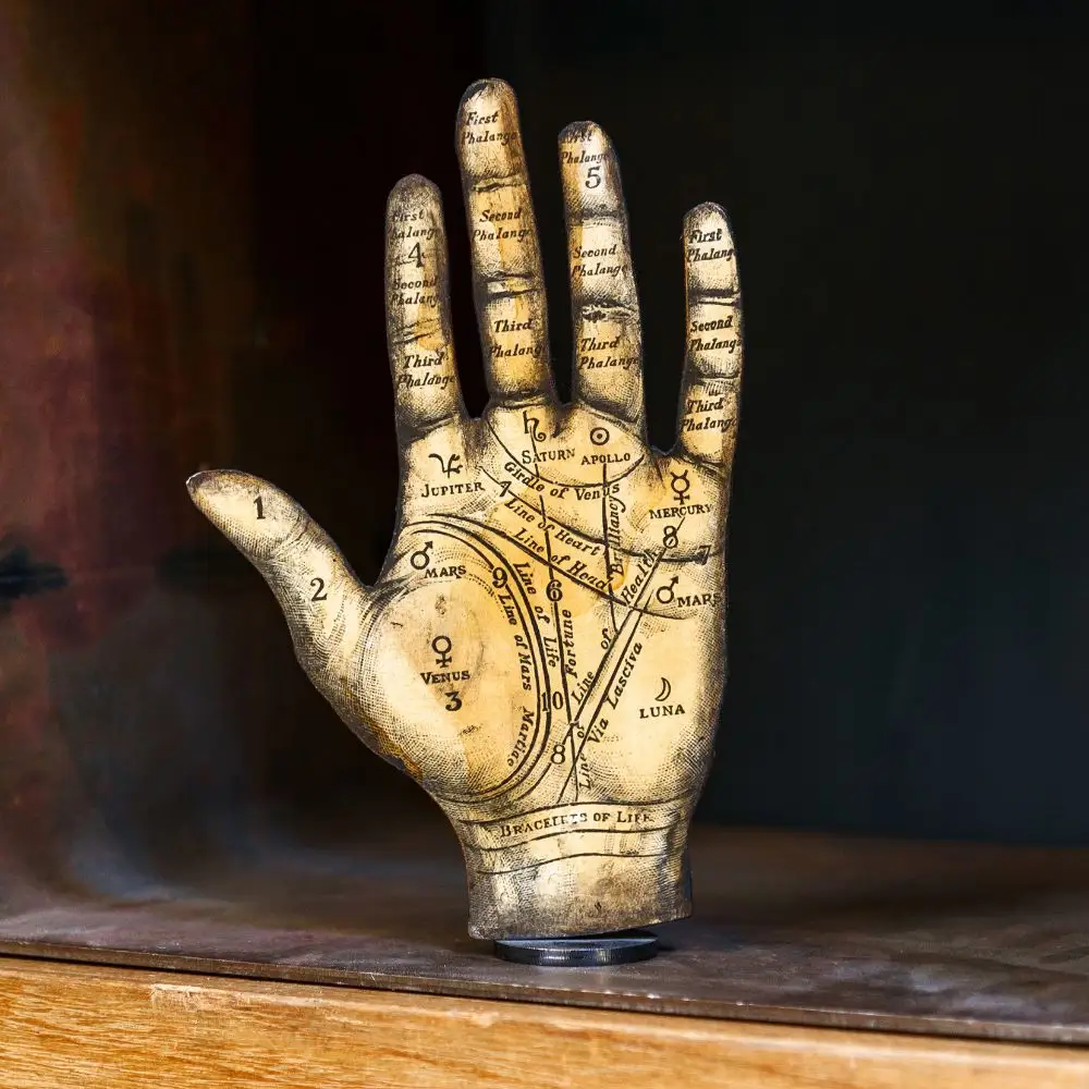 A vintage palmistry hand model showing labeled lines and mounts used in chiromancy, placed on a wooden shelf with a dark background.